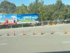 -金塔沙漠胡杨林景区