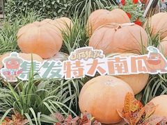 -北戴河集发农业梦想王国