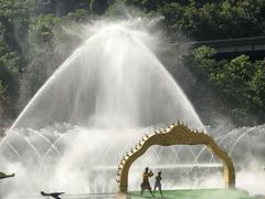 -西双版纳原始森林公园