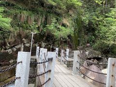 -大鄣山卧龙谷景区