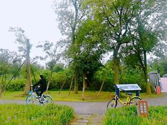 -白鹭湾湿地公园