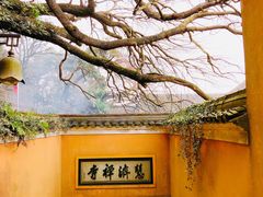 -普陀山风景区-佛顶山