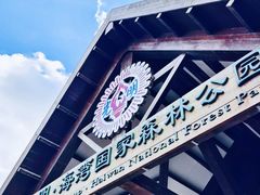 -上海海湾国家森林公园