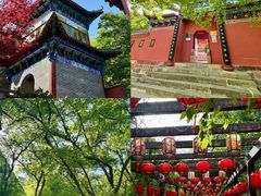 -皇藏峪国家森林公园