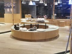 -CAT’S MEWSTAR CAFE·喵星球猫屋(晴湾咖啡店)