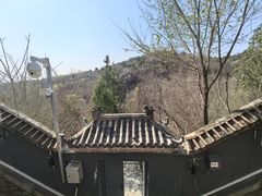 -白水寺森林公园