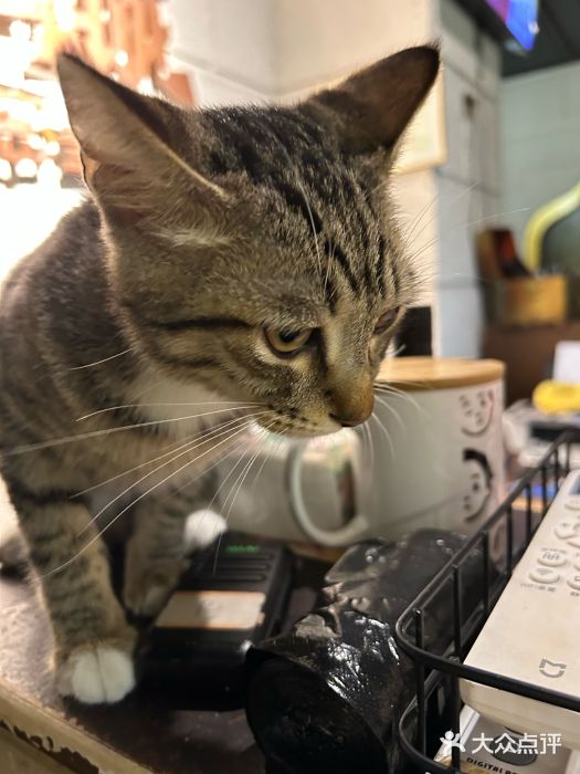 逃脱反斗城沉浸剧情密室(北京路店)图片