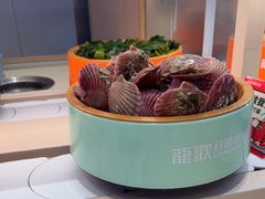 -龍歌自助小火锅(市北台东利群店)
