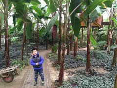 -呀路古热带植物园