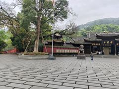 -峨眉山报国寺