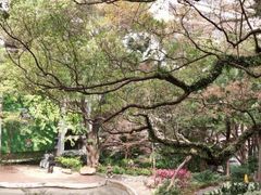 -香港大学