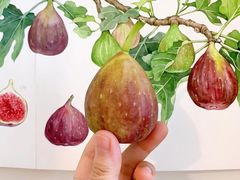 -八哥美术·成人美术画室(总校区)