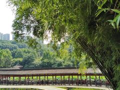 -龙头寺公园