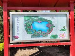 -莲花池公园