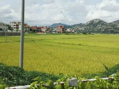 -浪琴湾度假村