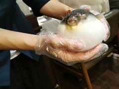 -肆月河豚·新淮扬(金融街店)