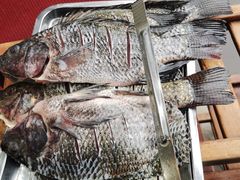 -马街老字号罗非鱼庄(昙华寺店)