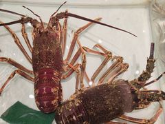 -万龙洲海鲜(大兴绿地缤纷城店)