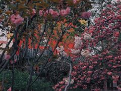-碑林公园