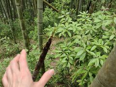 -丹山赤水风景名胜区