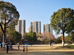 -杭州城北体育公园