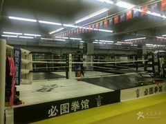 -鲨石格斗联盟(双井店)