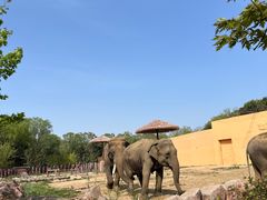 -沈阳森林动物园