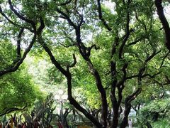 -荔枝公园(福田区)