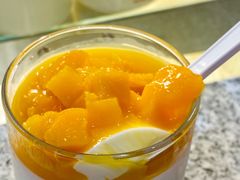 -连杏双皮奶(长沙国金店)