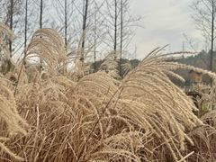 -南北湖风景区