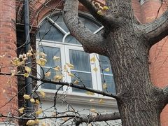 -复旦大学附属华山医院(总院)