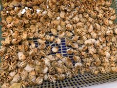 -大东海海鲜酒楼(渔人码头总店)