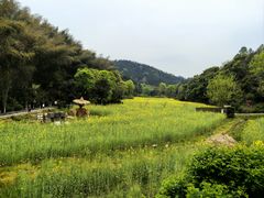 -常德桃花源景区