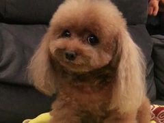 -宠颐生中康贝怡动物医院