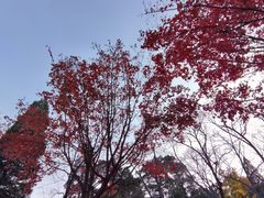 -香山公园