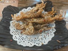 椒盐濑尿虾-九號渔港·蒸汽海鲜·粤菜茶点(八卦岭店)