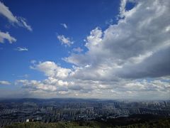 -长虫山生态公园风景林