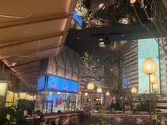 -桂满陇·海市蜃楼·黑金(国金店)