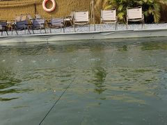 -DGE季风钓虾营地·团建·聚会