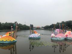 -映月湖公园