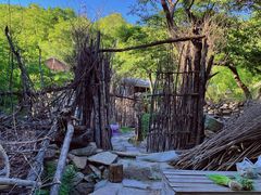 -大岭沟猕猴桃谷风景区