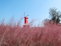 -羊亭河湿地公园