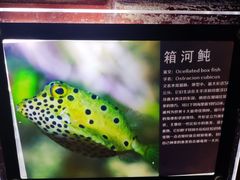 -太平洋海底世界