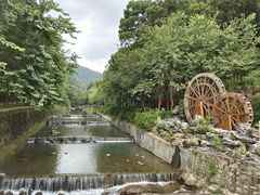 -广州白江湖森林公园