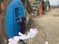 -武汉紫薇都市田园