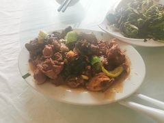 -中原农家乐(中原饭店)