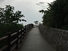 -羚羊峡古栈道森林公园