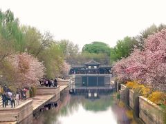 -海棠花溪(元大都城垣遗址公园)