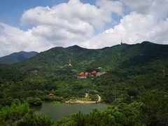 -深圳仙湖植物园