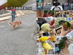 -南昌动物园